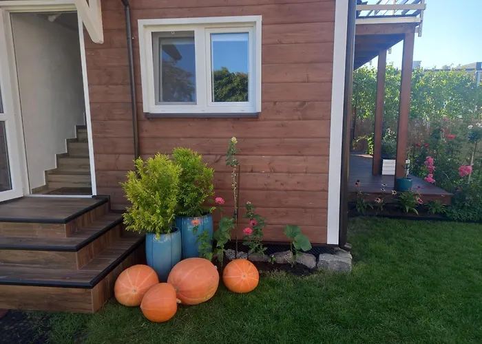 Morski 1 * Stegna (Pomerania)